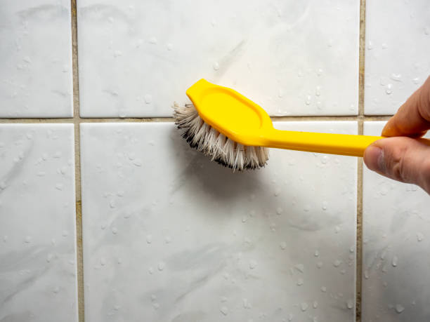 Best Mold Testing  in Georgetown, OH