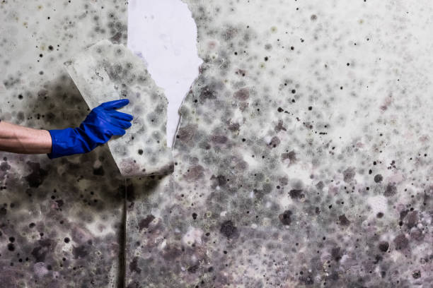Water Damage Restoration in Georgetown, OH